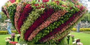 Flower Landscaping Services