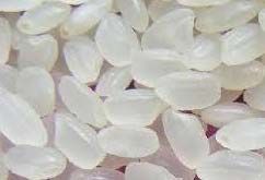 Short Grain Rice