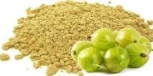 Dehydrated Amla Powder