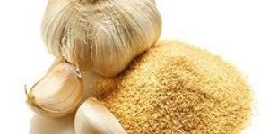 Dehydrated Garlic Powder