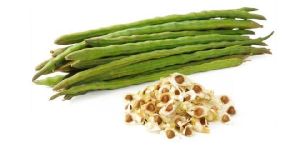 Moringa Seeds