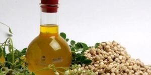 Moringa Seeds Oil
