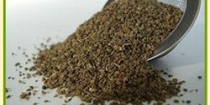 Celery Seed