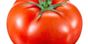 Fresh Tomato