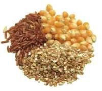 Cereal Grains