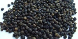 Black Pepper Seeds