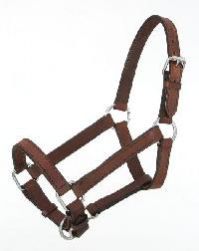 Leather Equestrian