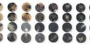 Buffalo Horn Button Blanks