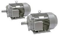 Squirrel Cage Induction Motors