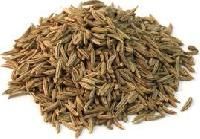 Caraway Seed