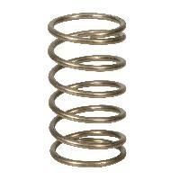 Stainless Steel Spring