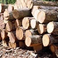 Indian Timbers