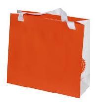 Art Paper Bags