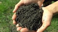 Non Toxic Fertilizers