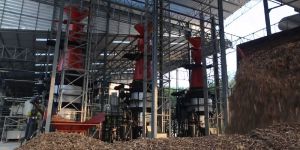 Biomass Gasification Power Plant
