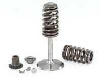 Engine Valve Spring