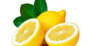 Fresh Lemon
