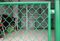PVC Coated Chain Link Fences