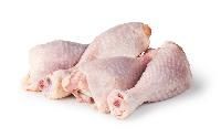 Fresh Chicken Drumsticks