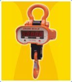 Crane Scale