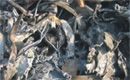Steel Scrap