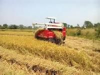 Paddy Combine Harvester