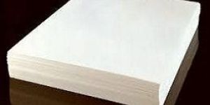 Filter Paper