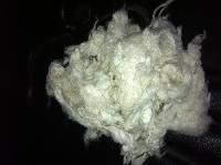 Wool Waste