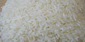 ADT 39 Rice