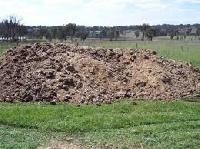 Poultry Manure