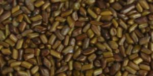 Puwad Seeds or Cassia Tora Seeds