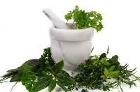 Siddha Medicine