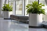 Stainless Steel Planters