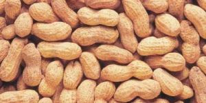 Shelled Groundnuts