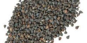 Jute Seeds