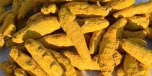 Turmeric Finger