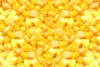 Sweet Corn Kernels
