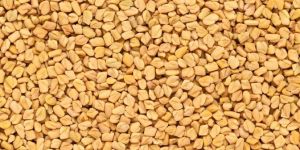 Fenugreek Seeds