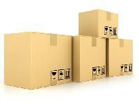 Export Cartons