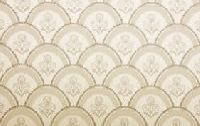 Mica Printing Paper