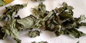 Dried Mint Leaves