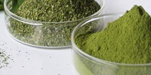 Moringa Oleifera Leaf Powder