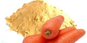 Spray Dried Carrot Powder