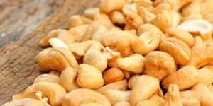 Cashew Nuts
