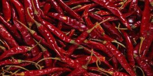 Dried Red Chilli