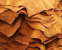 Leather Hide