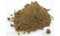 Fish Meal Powder