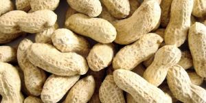 Shelled Peanuts