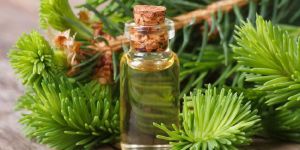 Cedarwood Oil