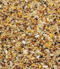 Bird Seed